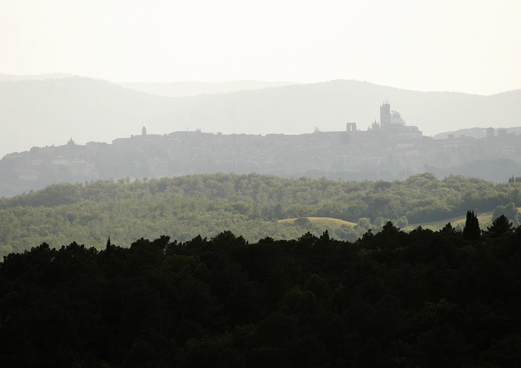 Residence Castello Di Orgiale Castelnuovo Berardenga Εξωτερικό φωτογραφία